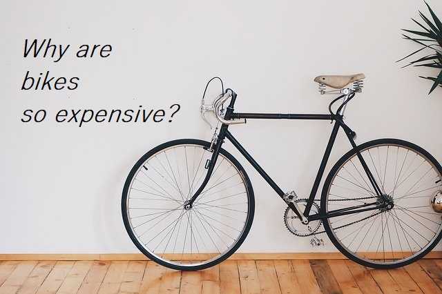 why are bikes so expensive